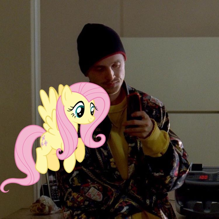 fluttershy and jesse pinkman